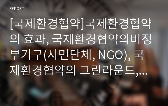 [국제환경협약]국제환경협약의 효과, 국제환경협약의비정부기구(시민단체, NGO), 국제환경협약의 그린라운드, 국제환경협약의 IMO(국제해사기구), 향후 국제환경협약의 방향 분석