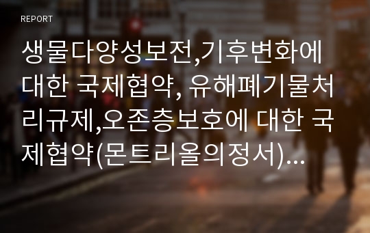 생물다양성보전,기후변화에 대한 국제협약, 유해폐기물처리규제,오존층보호에 대한 국제협약(몬트리올의정서), 생태계보호에 대한 국제협약(람사협약), 유류오염대비대응과 협력에 국제협약