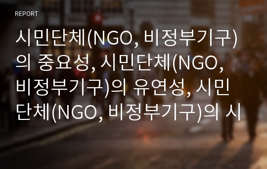 시민단체(NGO, 비정부기구)의 중요성, 시민단체(NGO, 비정부기구)의 유연성, 시민단체(NGO, 비정부기구)의 시민사회교육, 시민단체(NGO, 비정부기구)의 쟁점, 개선 방안