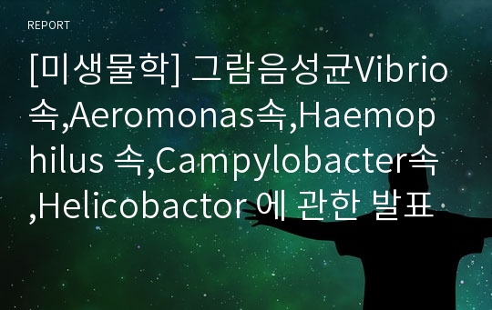 [미생물학] 그람음성균Vibrio속,Aeromonas속,Haemophilus 속,Campylobacter속,Helicobactor 에 관한 발표자료.ppt