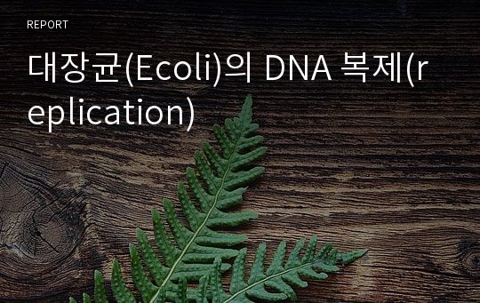 대장균(Ecoli)의 DNA 복제(replication)