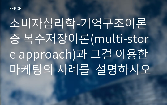 소비자심리학-기억구조이론 중 복수저장이론(multi-store approach)과 그걸 이용한 마케팅의 사례를  설명하시오