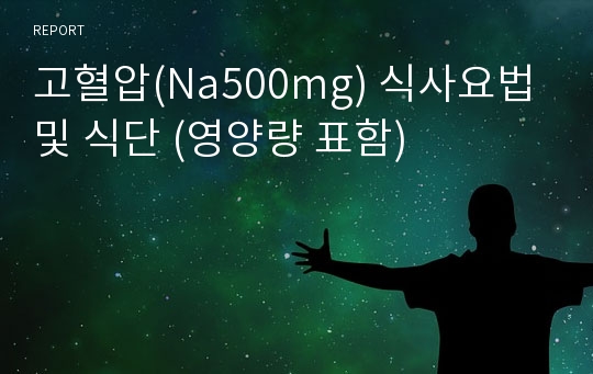 고혈압(Na500mg) 식사요법 및 식단 (영양량 표함)