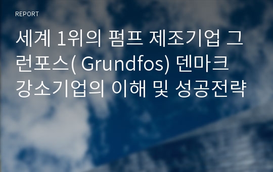 세계 1위의 펌프 제조기업 그런포스( Grundfos) 덴마크 강소기업의 이해 및 성공전략