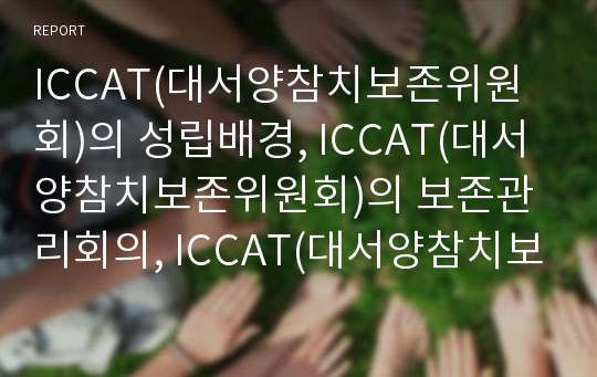 ICCAT(대서양참치보존위원회)의 성립배경, ICCAT(대서양참치보존위원회)의 보존관리회의, ICCAT(대서양참치보존위원회)의 통합감시개발회의, ICCAT의 어획문제회의 분석