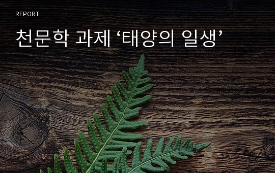 천문학 과제 ‘태양의 일생’