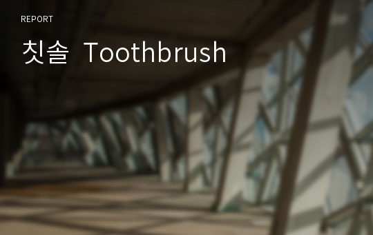 칫솔  Toothbrush