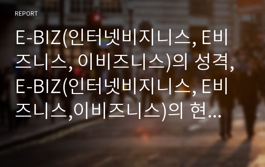 E-BIZ(인터넷비지니스, E비즈니스, 이비즈니스)의 성격, E-BIZ(인터넷비지니스, E비즈니스,이비즈니스)의 현황, E-BIZ(인터넷비지니스,E비즈니스,이비즈니스)의 수익구조