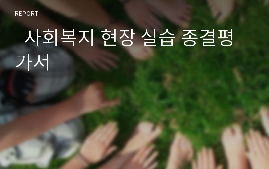   사회복지 현장 실습 종결평가서