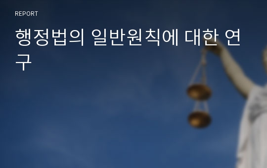 행정법의 일반원칙에 대한 연구