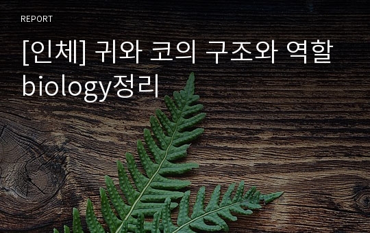 [인체] 귀와 코의 구조와 역할biology정리