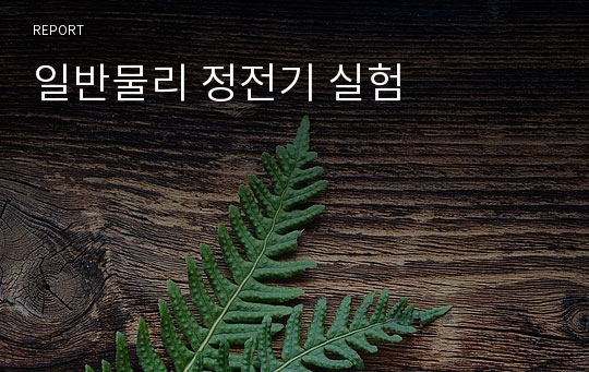 일반물리 정전기 실험