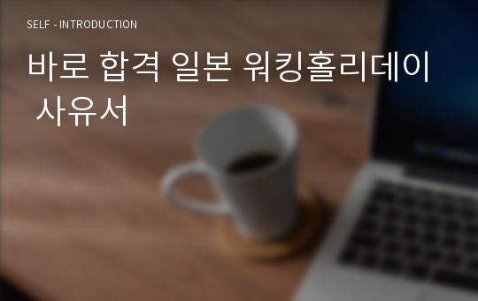 바로 합격 일본 워킹홀리데이 사유서