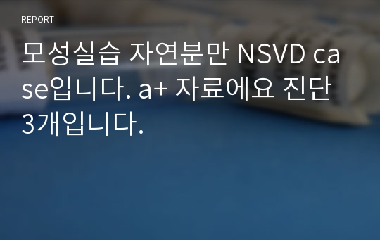 모성실습 자연분만 NSVD case입니다. a+ 자료에요 진단 3개입니다.