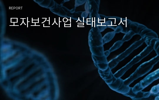 모자보건사업 실태보고서