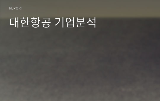 대한항공 기업분석