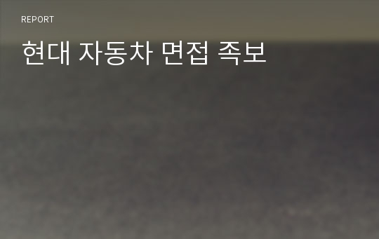 현대 자동차 면접 족보