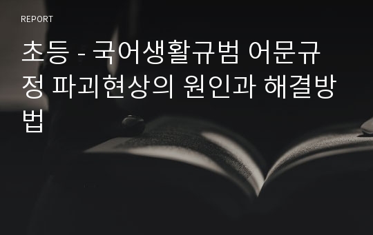 초등 - 국어생활규범 어문규정 파괴현상의 원인과 해결방법