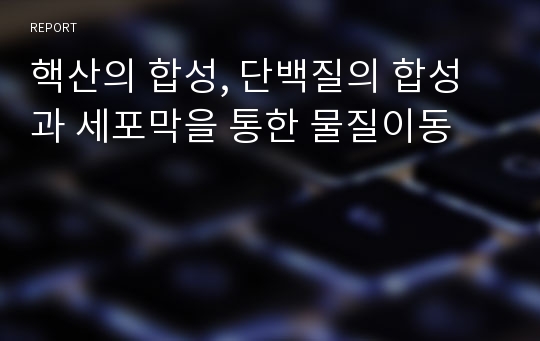 핵산의 합성, 단백질의 합성과 세포막을 통한 물질이동