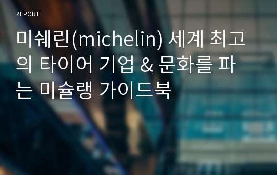 미쉐린(michelin) 세계 최고의 타이어 기업 &amp; 문화를 파는 미슐랭 가이드북