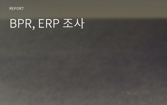 BPR, ERP 조사