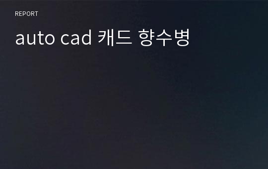 auto cad 캐드 향수병