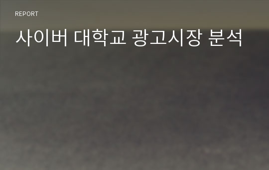 사이버 대학교 광고시장 분석