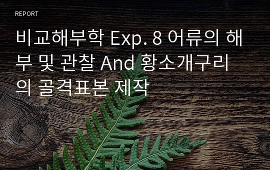 비교해부학 Exp. 8 어류의 해부 및 관찰 And 황소개구리의 골격표본 제작