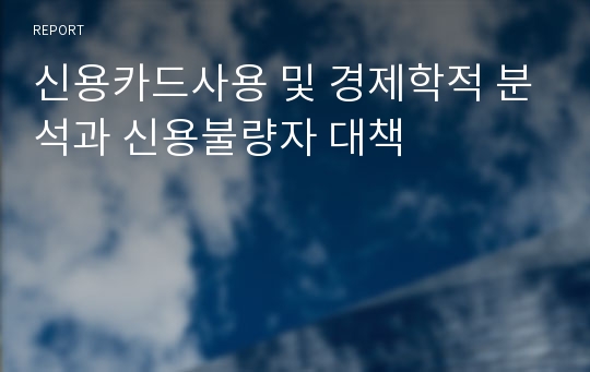 신용카드사용 및 경제학적 분석과 신용불량자 대책