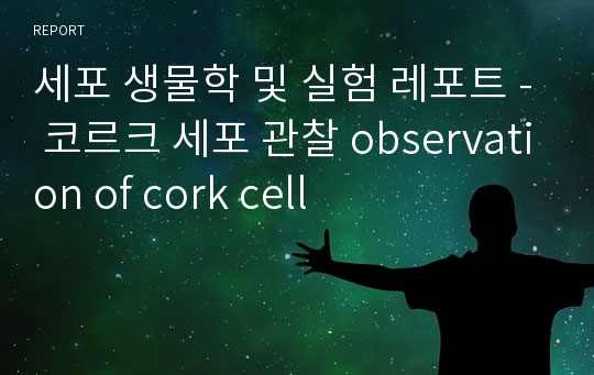 세포 생물학 및 실험 레포트 - 코르크 세포 관찰 observation of cork cell