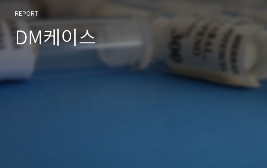 DM케이스