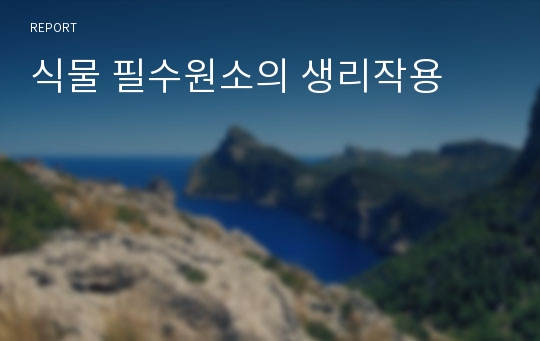 식물 필수원소의 생리작용