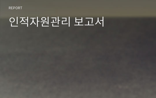 인적자원관리 보고서