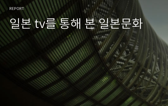 일본 tv를 통해 본 일본문화