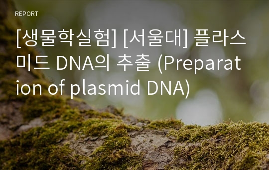 [생물학실험] [서울대] 플라스미드 DNA의 추출 (Preparation of plasmid DNA)
