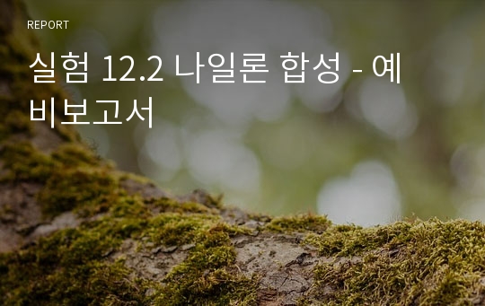 실험 12.2 나일론 합성 - 예비보고서