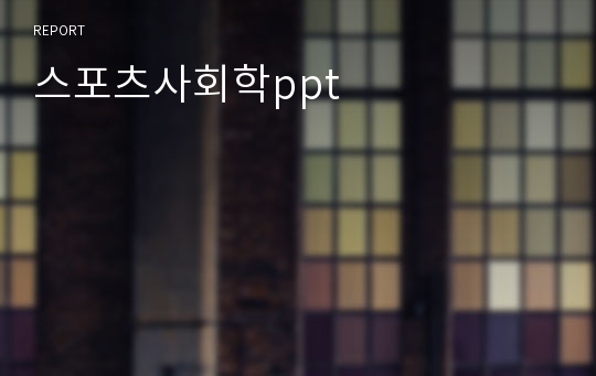 스포츠사회학ppt