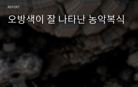 오방색이 잘 나타난 농악복식