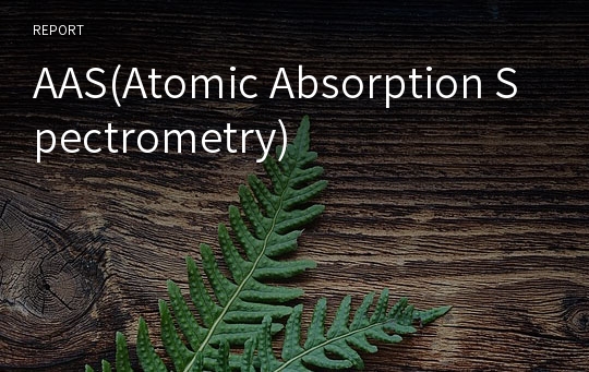 AAS(Atomic Absorption Spectrometry)