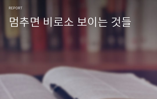 멈추면 비로소 보이는 것들