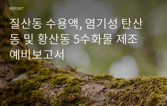 질산동 수용액, 염기성 탄산동 및 황산동 5수화물 제조 예비보고서