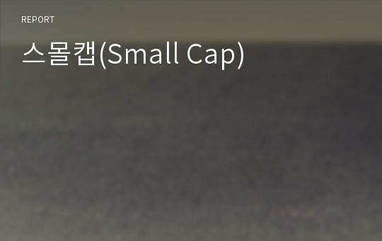 스몰캡(Small Cap)