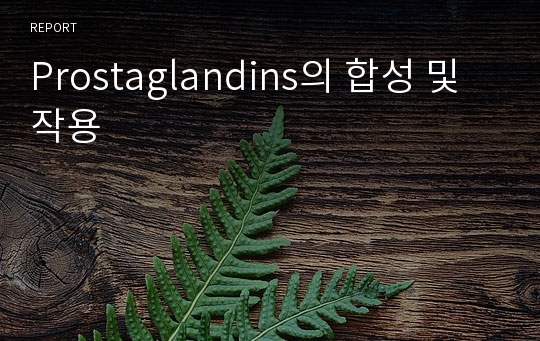 Prostaglandins의 합성 및 작용