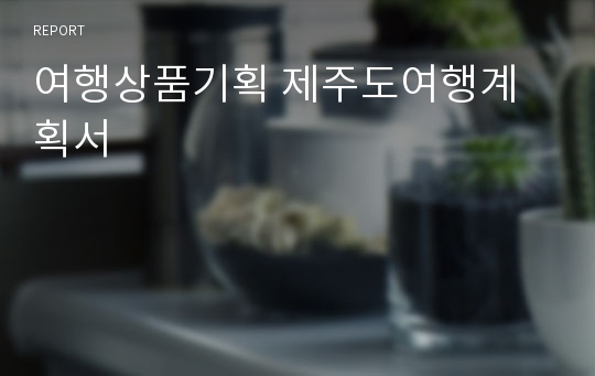 여행상품기획 제주도여행계획서