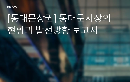 [동대문상권] 동대문시장의 현황과 발전방향 보고서