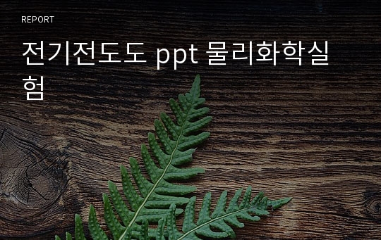 전기전도도 ppt 물리화학실험