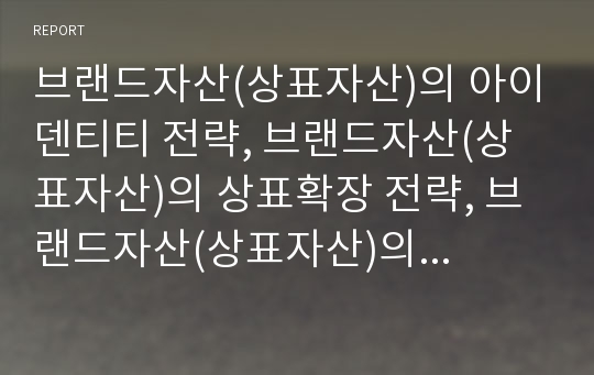 브랜드자산(상표자산)의 아이덴티티 전략, 브랜드자산(상표자산)의 상표확장 전략, 브랜드자산(상표자산)의 통합적 마케팅커뮤니케이션(IMC) 전략, 브랜드자산(상표자산)의 활용 전략