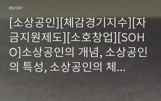 [소상공인][체감경기지수][자금지원제도][소호창업][SOHO]소상공인의 개념, 소상공인의 특성, 소상공인의 체감경기지수, 소상공인의 자금지원제도, 소상공인의 소호(SOHO)창업