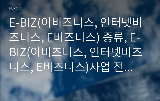 E-BIZ(이비즈니스, 인터넷비즈니스, E비즈니스) 종류, E-BIZ(이비즈니스, 인터넷비즈니스, E비즈니스)사업 전략, E-BIZ(이비즈니스,인터넷비즈니스,E비즈니스)전개 방향