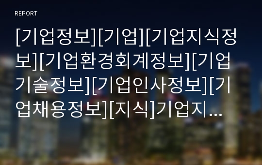 [기업정보][기업][기업지식정보][기업환경회계정보][기업기술정보][기업인사정보][기업채용정보][지식]기업지식정보, 기업환경회계정보, 기업기술정보, 기업인사정보, 기업채용정보 분석